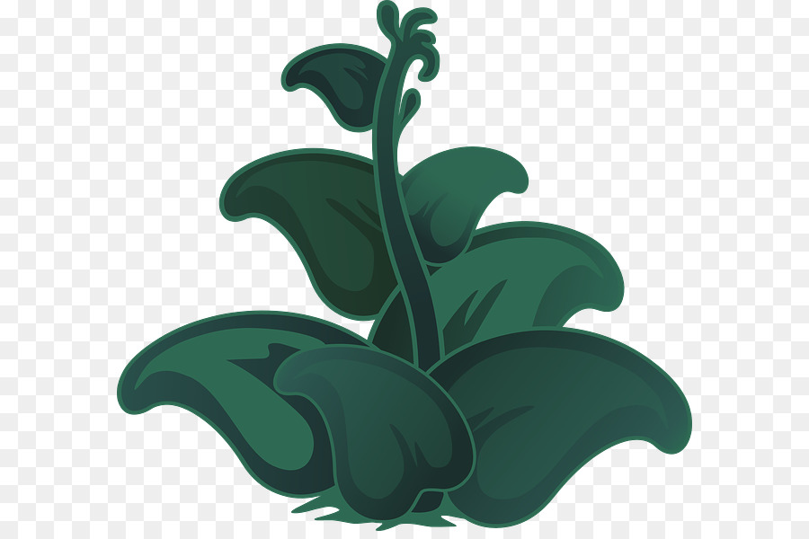 Planta Verde，Folha PNG