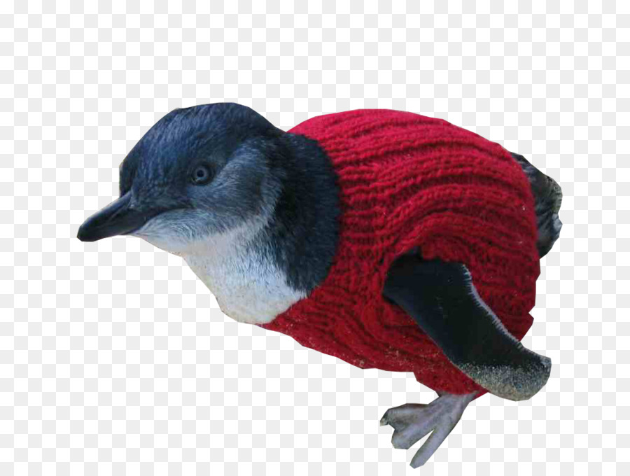 Penguin，A Fauna PNG