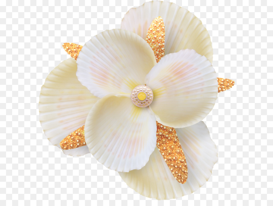 Flor，Pétalas PNG