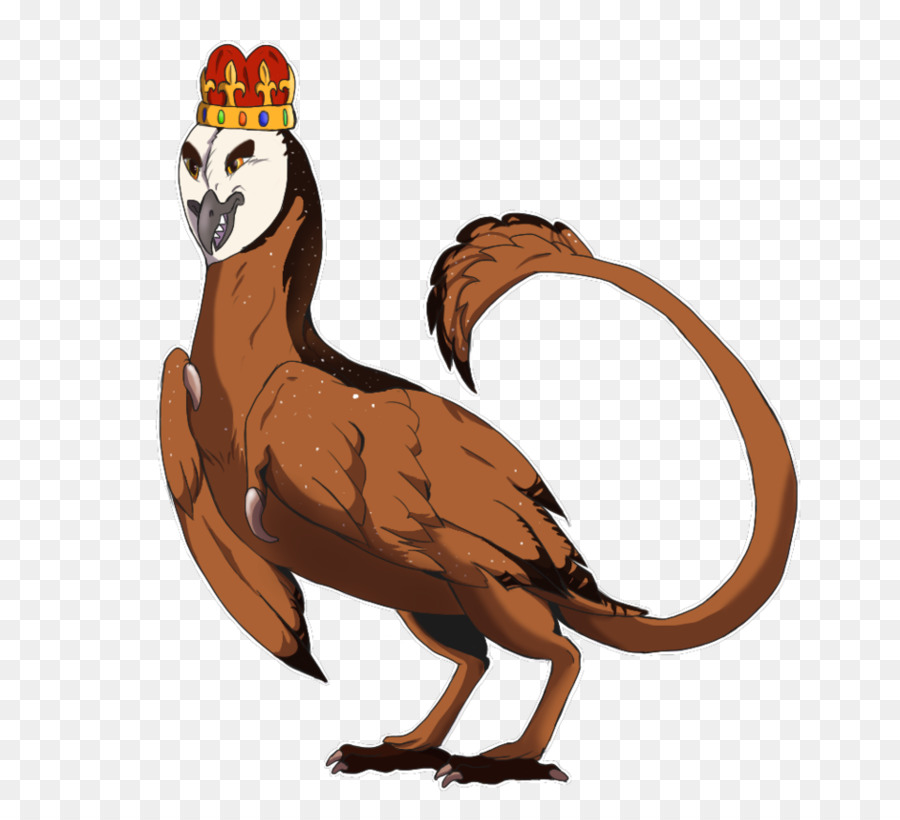 Aves，Bico PNG