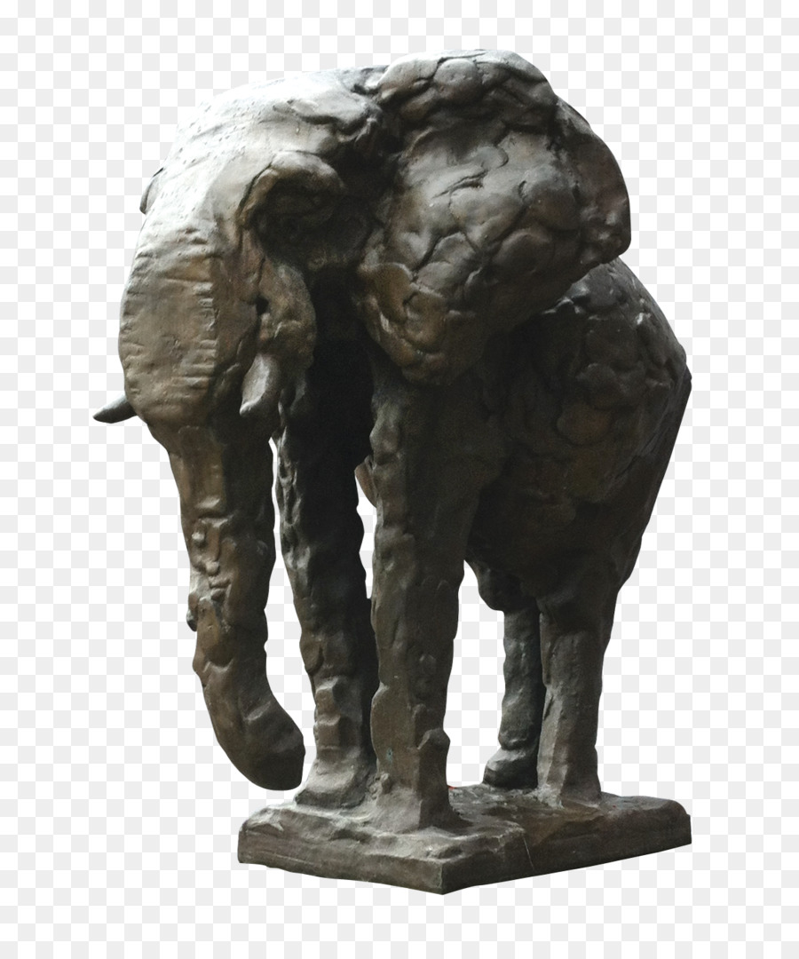 Elefante Indiano，Elefante Africano PNG