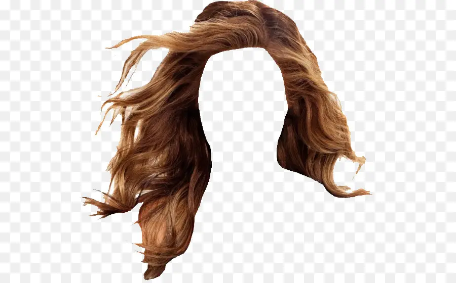 Peruca，Cabelo Castanho PNG