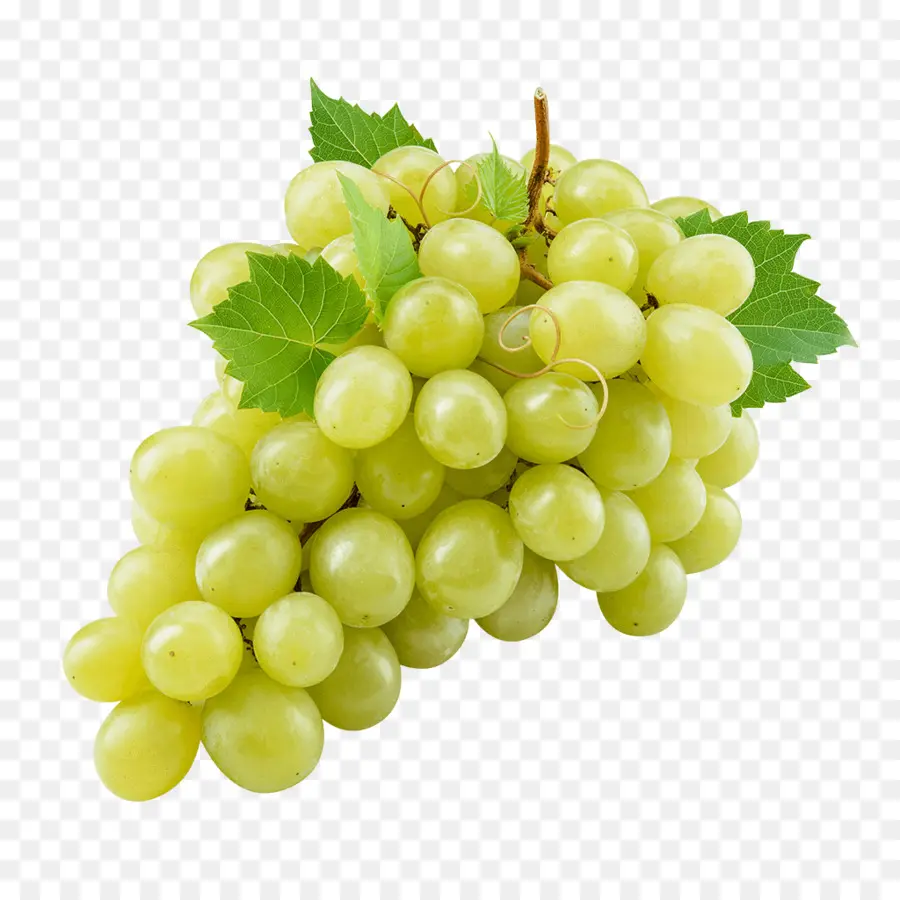 Uvas Verdes，Videira PNG