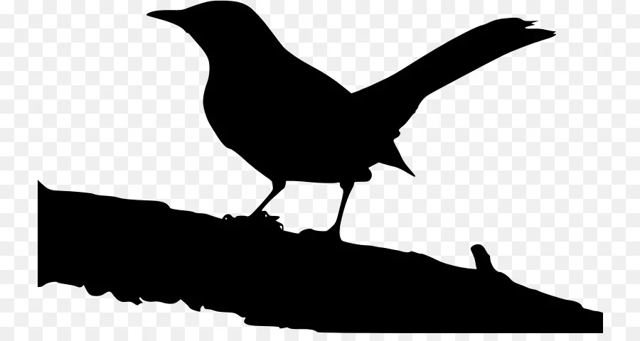 To Kill A Mockingbird，Jem Finch PNG