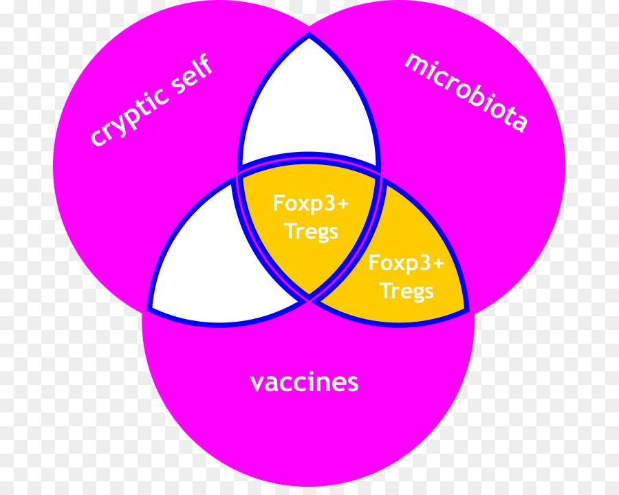 Auto Imunidade，Antigen PNG