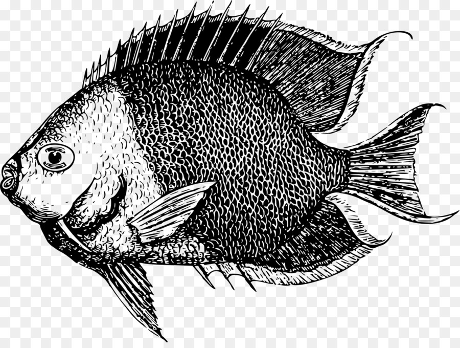 Peixe，Pesca PNG