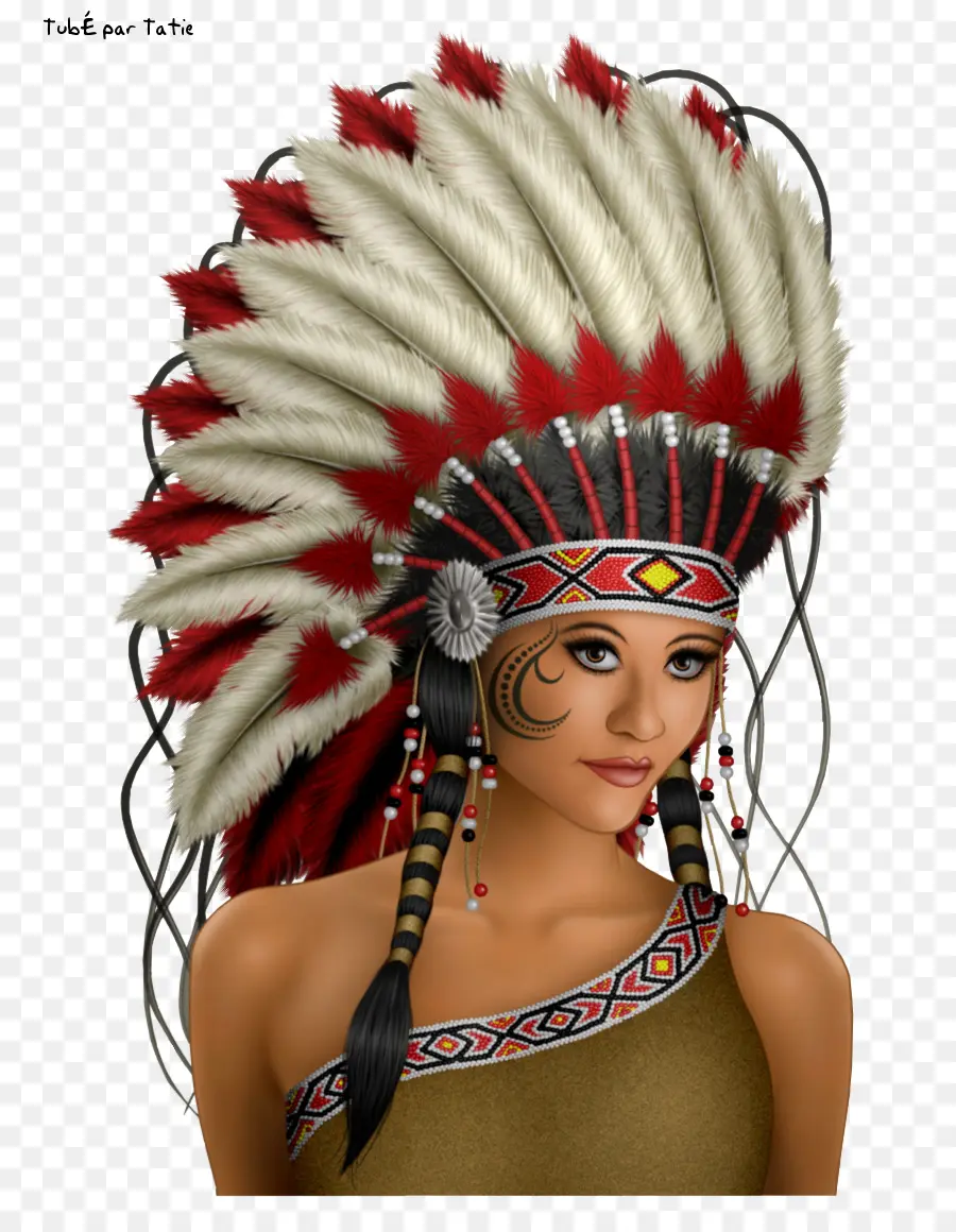 Os Nativos Americanos Nos Estados Unidos，Os Povos Indígenas Das Américas PNG