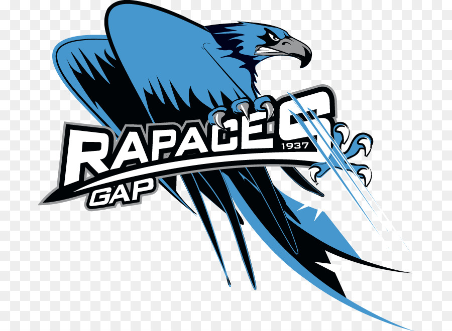 Aves De Rapina Do Gap，Gap PNG