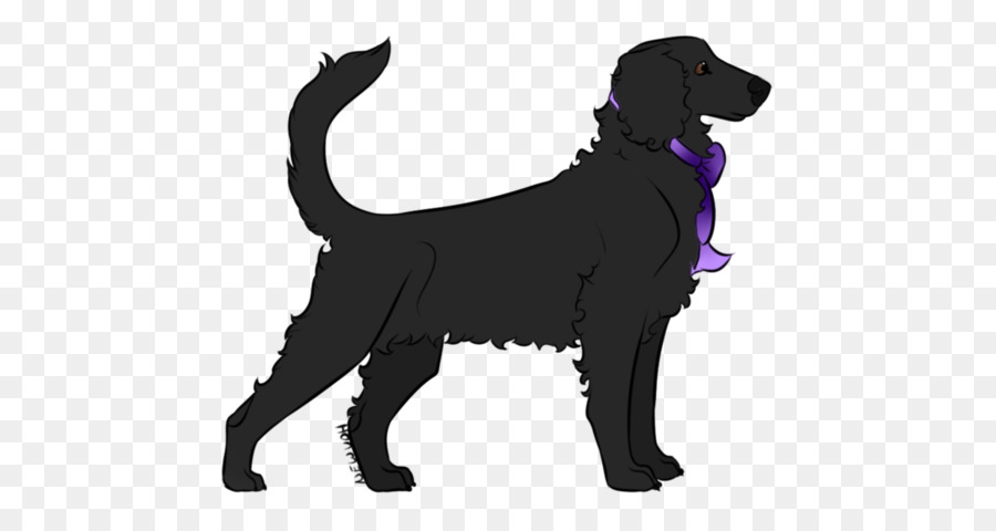 Labrador Retriever，Flatcoated Retriever PNG