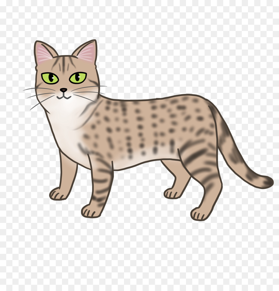 American Shorthair，Califórnia Spangled PNG