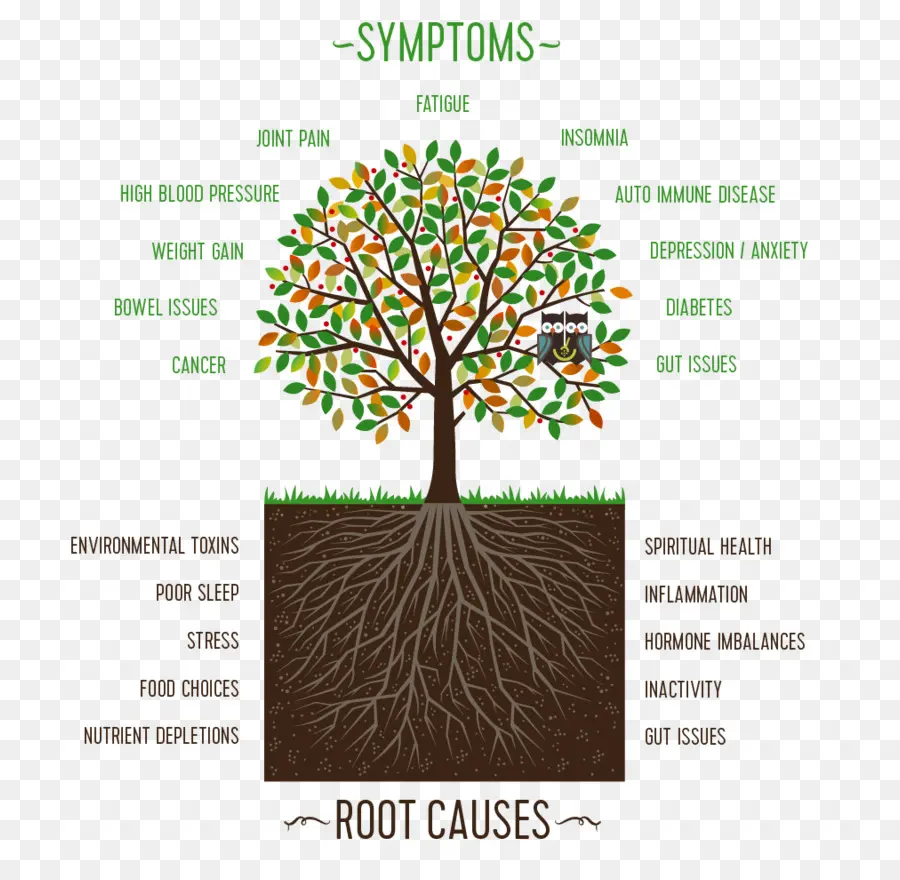 Árvore Dos Sintomas，Saúde PNG