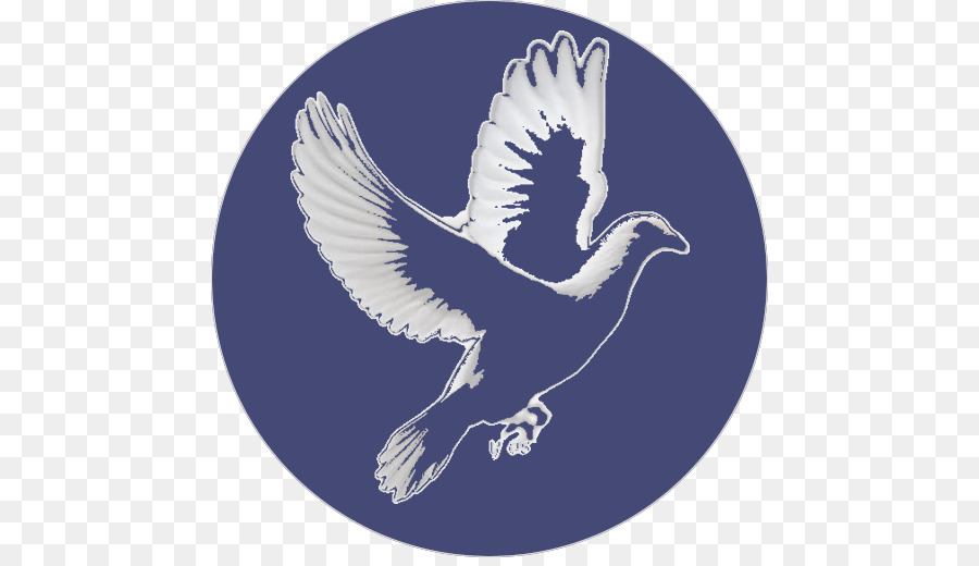 águia，Paz PNG