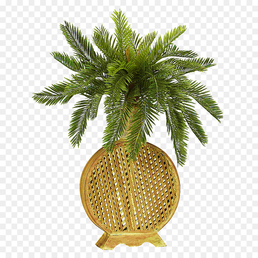 Planta，Diabo Ivy PNG