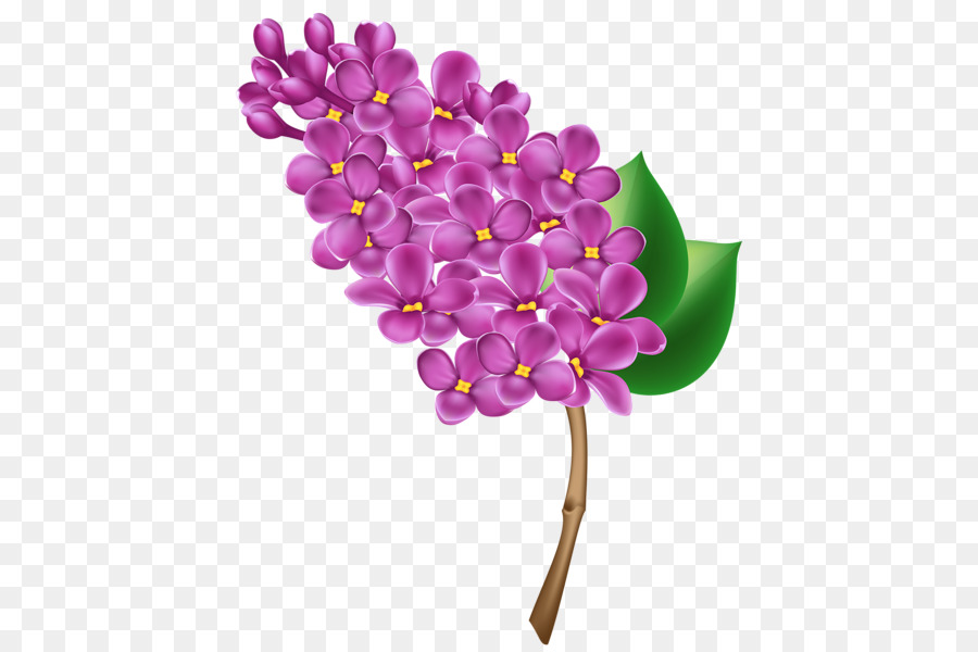 Flor，Florescer PNG