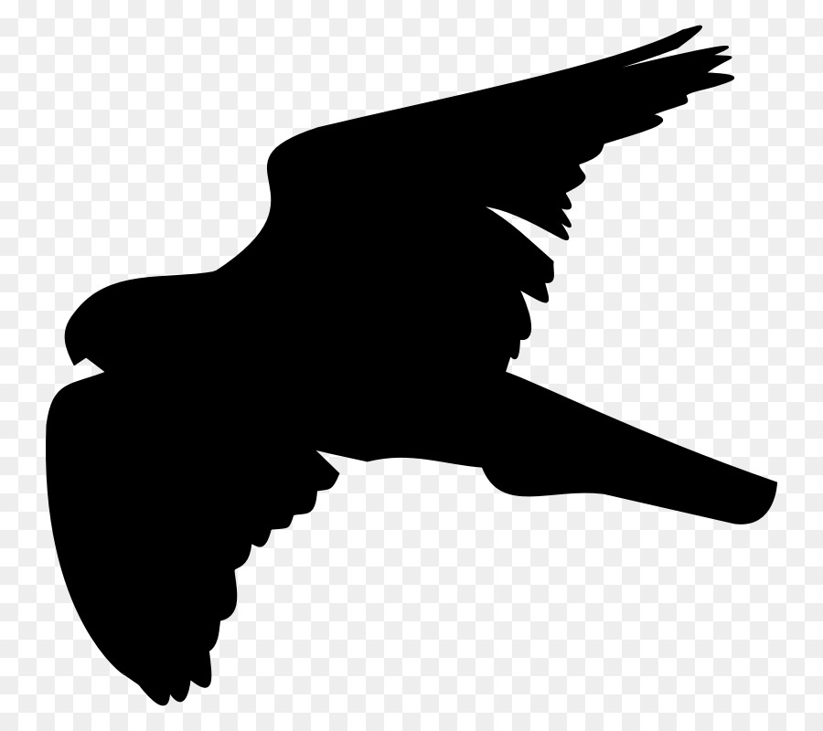 Aves，ícones Do Computador PNG