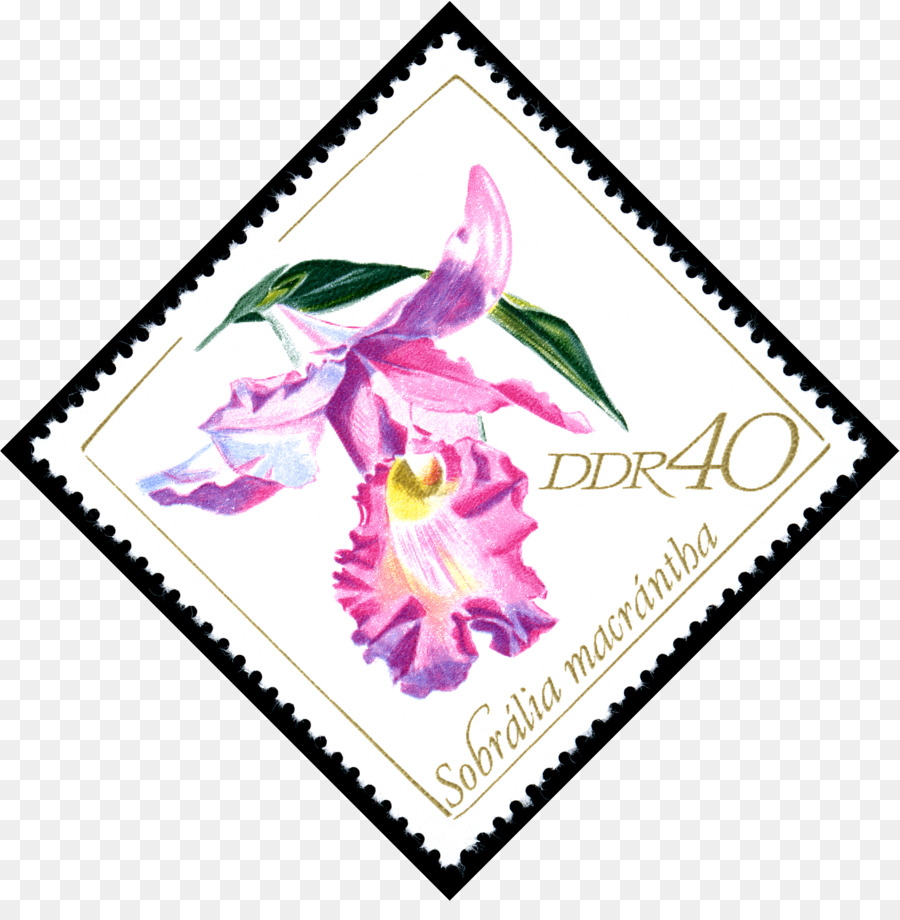 Selo De Flor，Ddr PNG