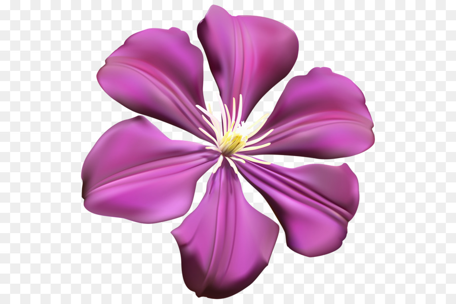 Flor Roxa，Florescer PNG