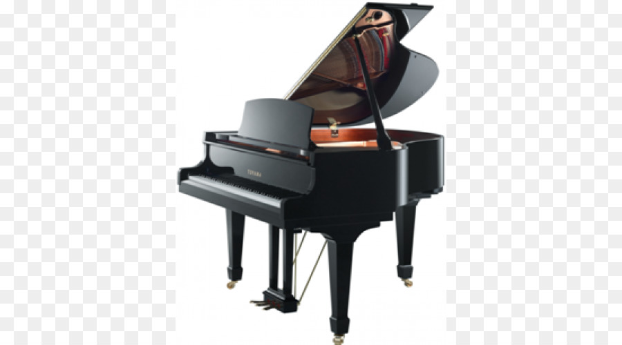 Piano，Piano De Cauda PNG