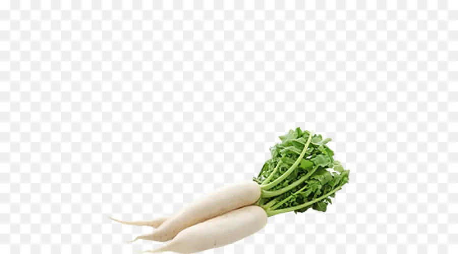 Daikon，Alimentos Orgânicos PNG