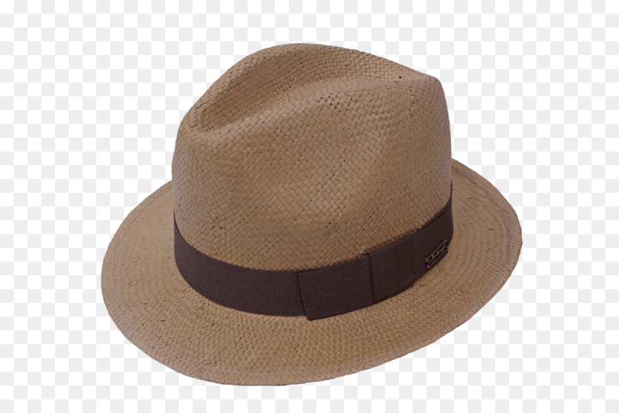 Fedora，Chapéu PNG