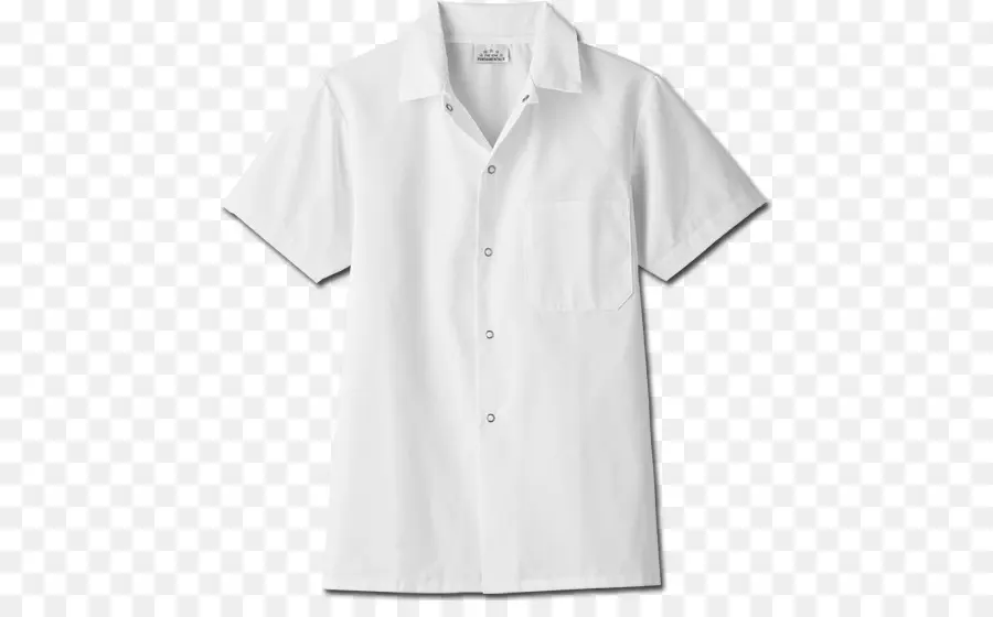 Tshirt，Blusa PNG