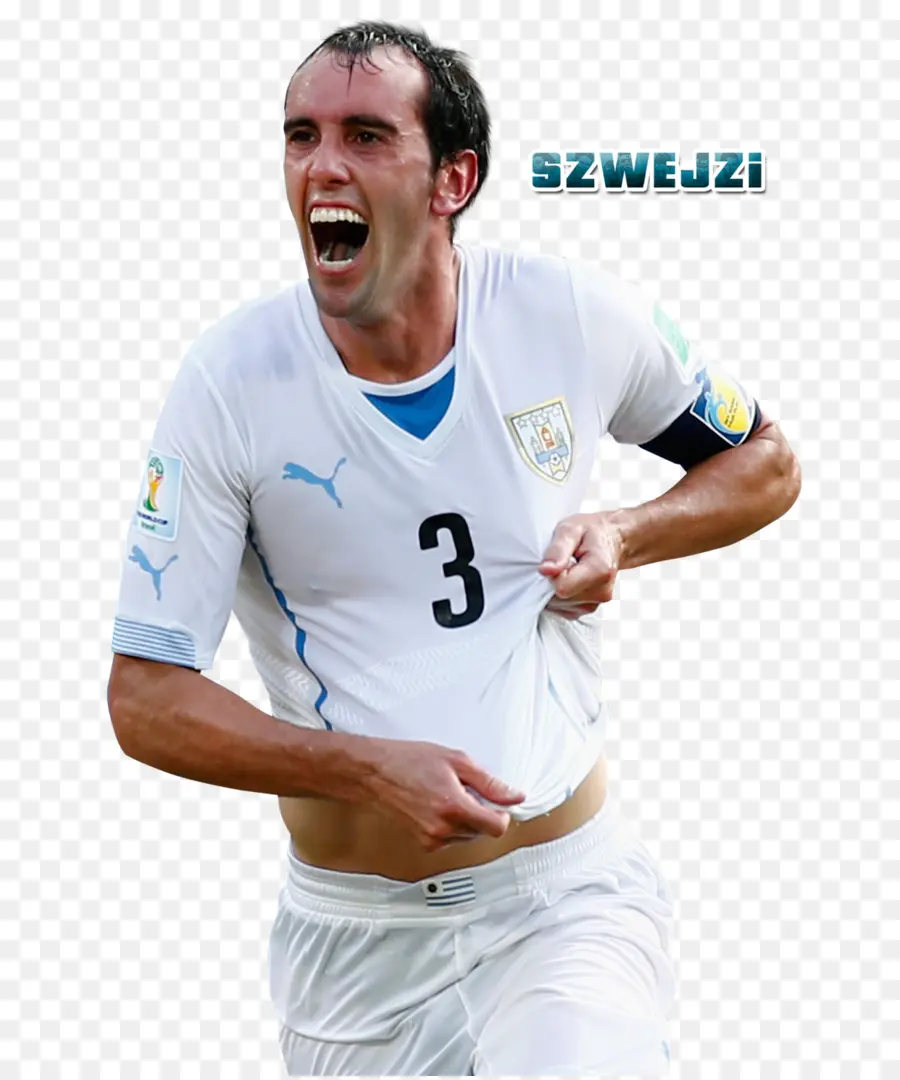 Diego Godín，Uruguai Equipa Nacional De Futebol PNG