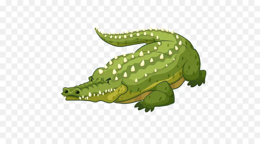 Crocodilo，Crocodilo Do Nilo PNG