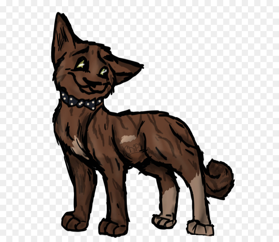 Raça Do Cão，Gato PNG