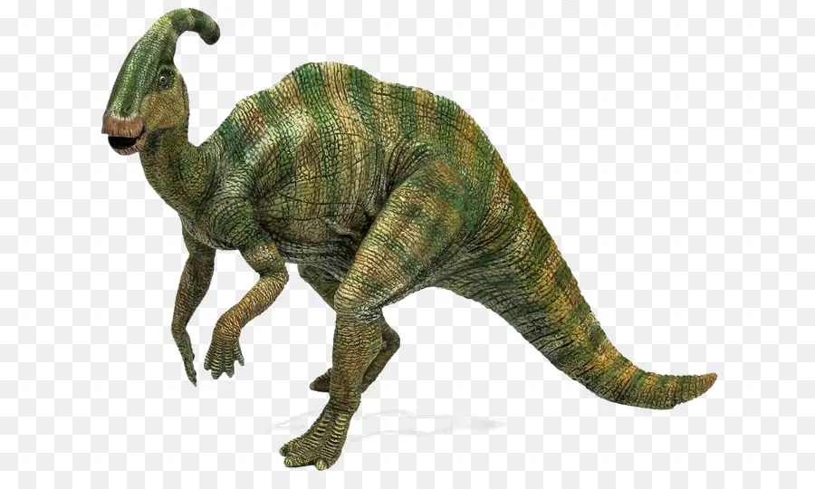 Tiranossauro，Parasaurolophus PNG