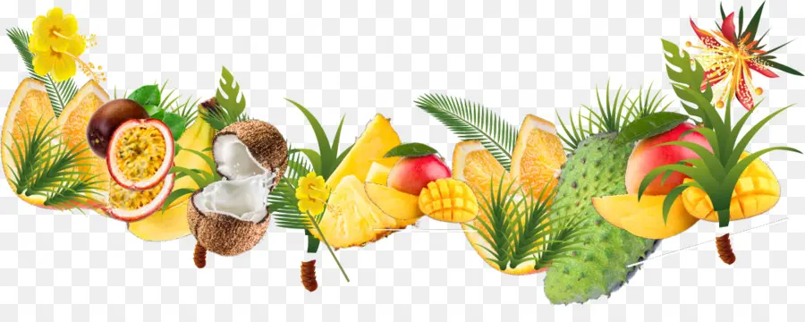 Frutas，Floresta Tropical PNG