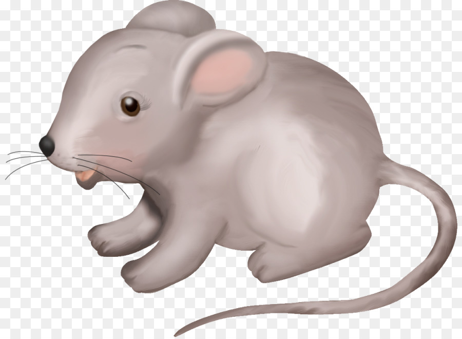 Rato De Desenho Animado，Animal PNG