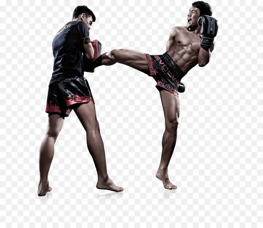 Muay Thai，Artes Marciais Mistas PNG