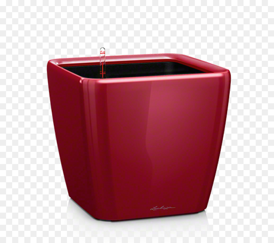 Pote Vermelho，Plantador PNG