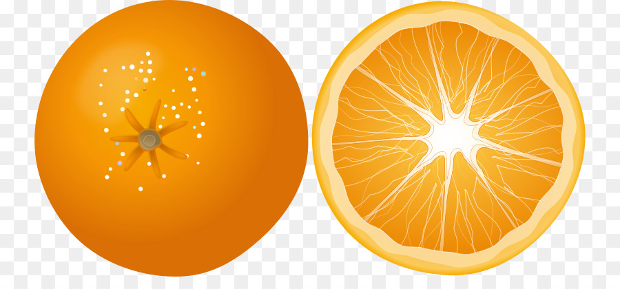 Laranja，Frutas PNG