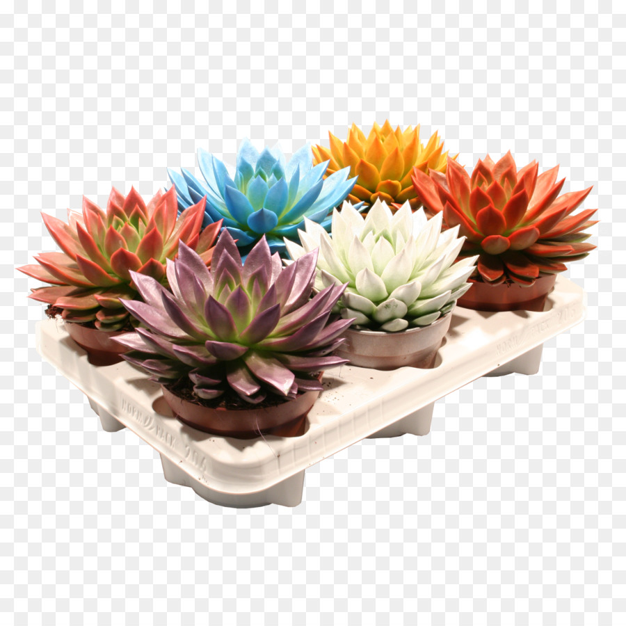 Flores De Corte，Flowerpot PNG