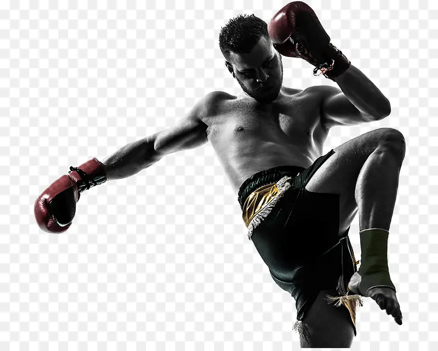 Boxer，Soco PNG