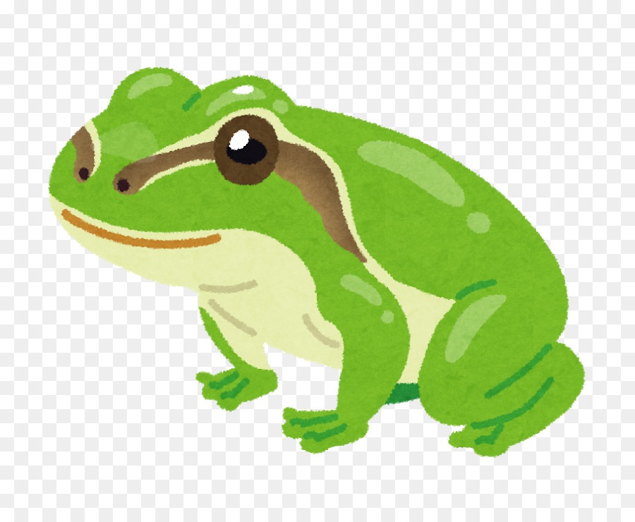 Sapo Verde Dos Desenhos Animados，Animal PNG