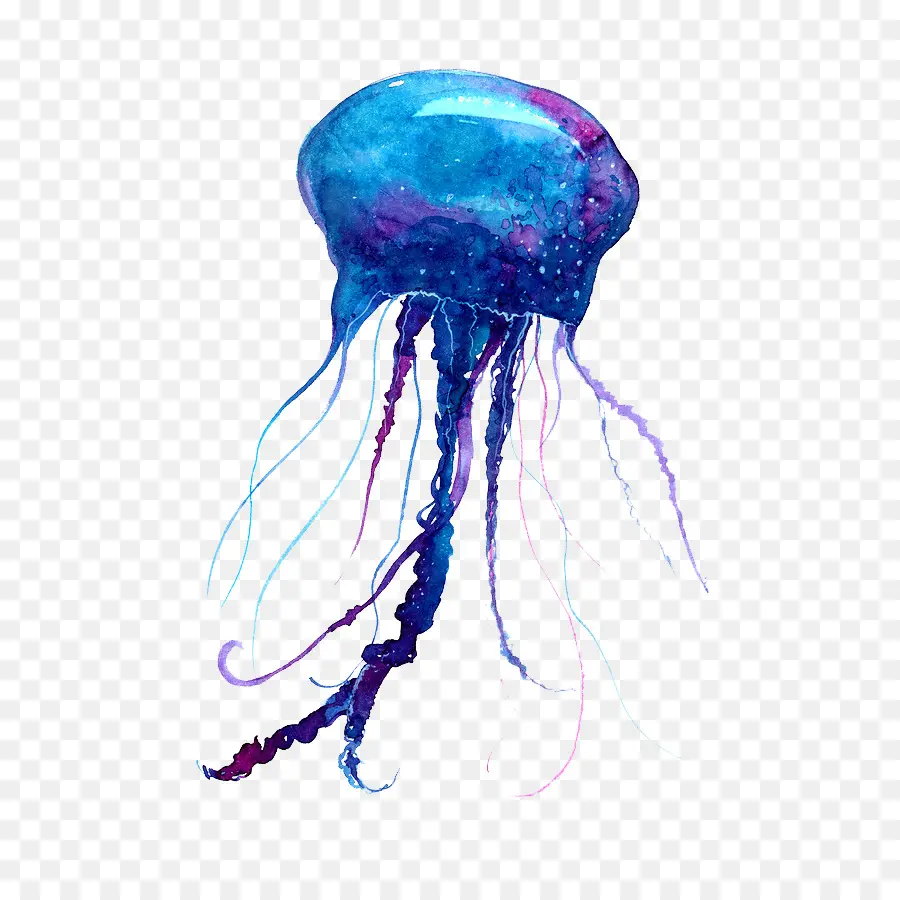 Medusa，Pintura Em Aquarela PNG