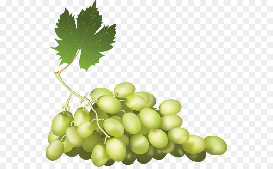 Vinho，Kyoho PNG