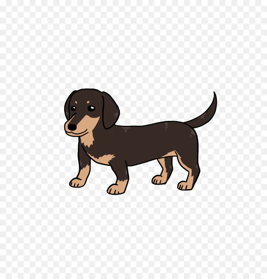 Dachshund，Filhote De Cachorro PNG