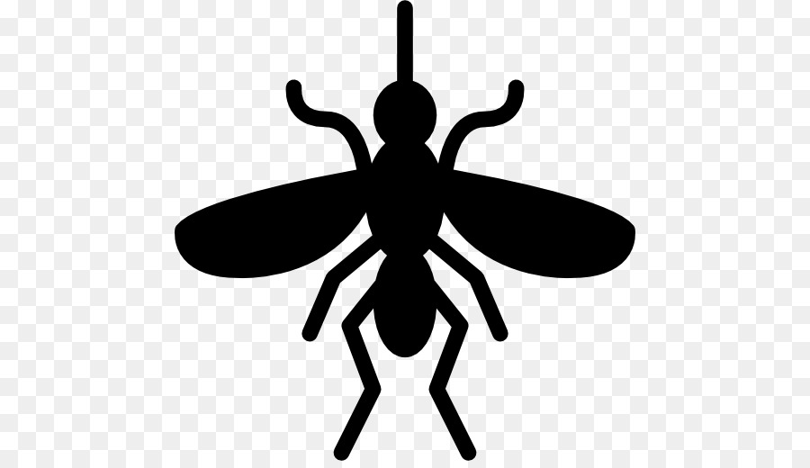 Mosquito，Erro PNG