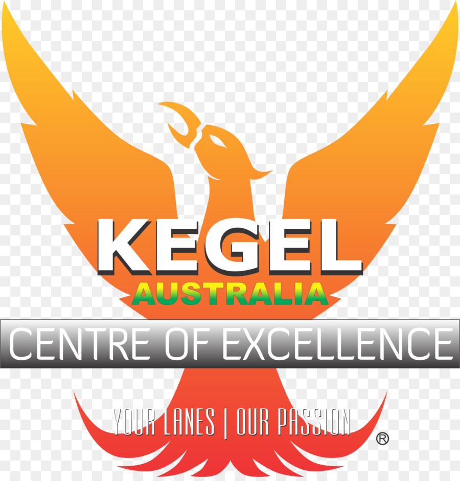 Logo，Kegel Exercício PNG