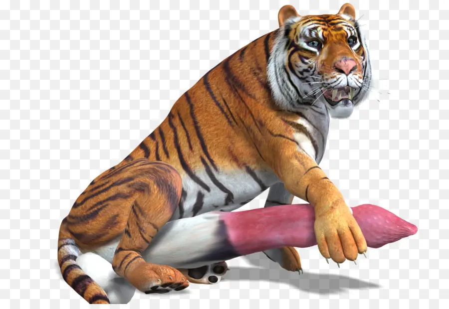 Tigre，Listras PNG