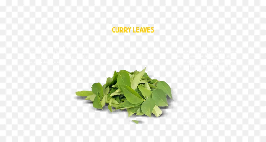 Erva，Novas Folhas De Curry PNG