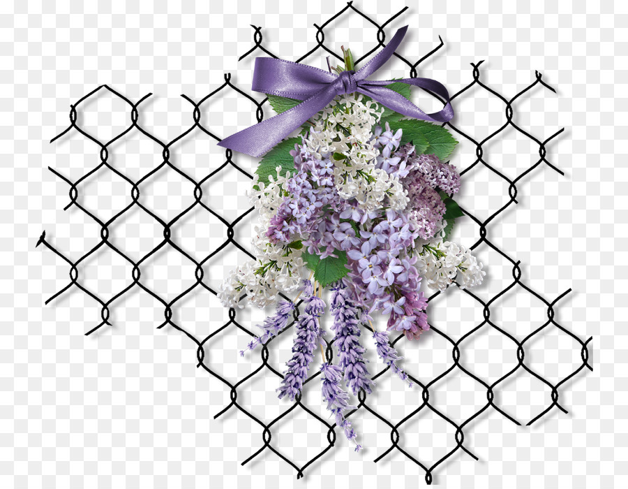 Chinês Wisteria，Roxo PNG