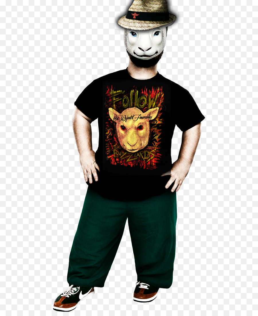 Tshirt，Mascote PNG