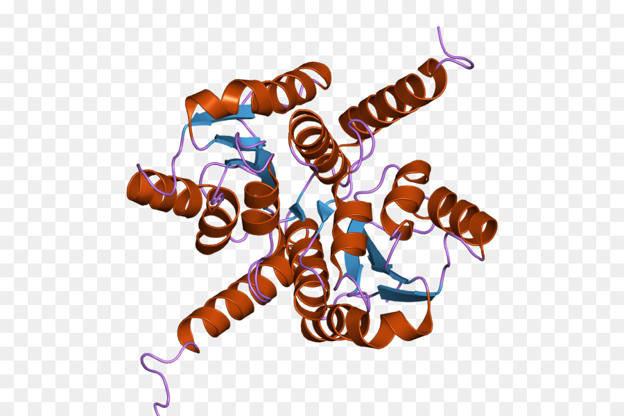 Estrutura Proteica，Molécula PNG