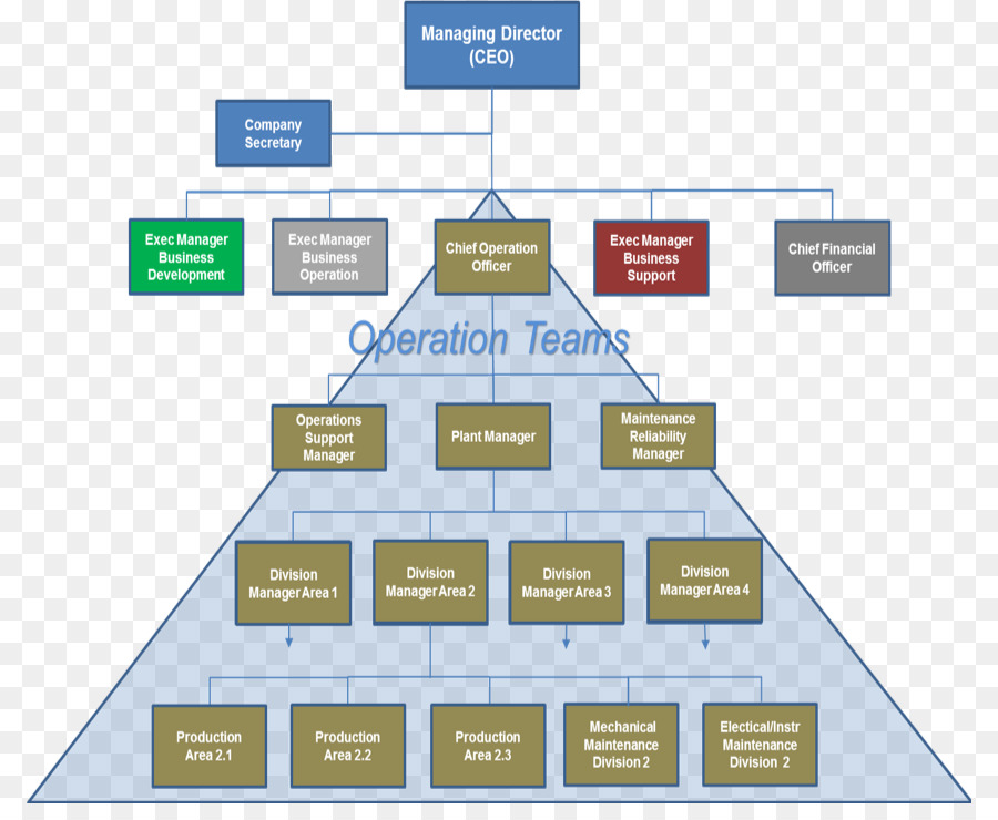 Organização，Estrutura Organizacional PNG