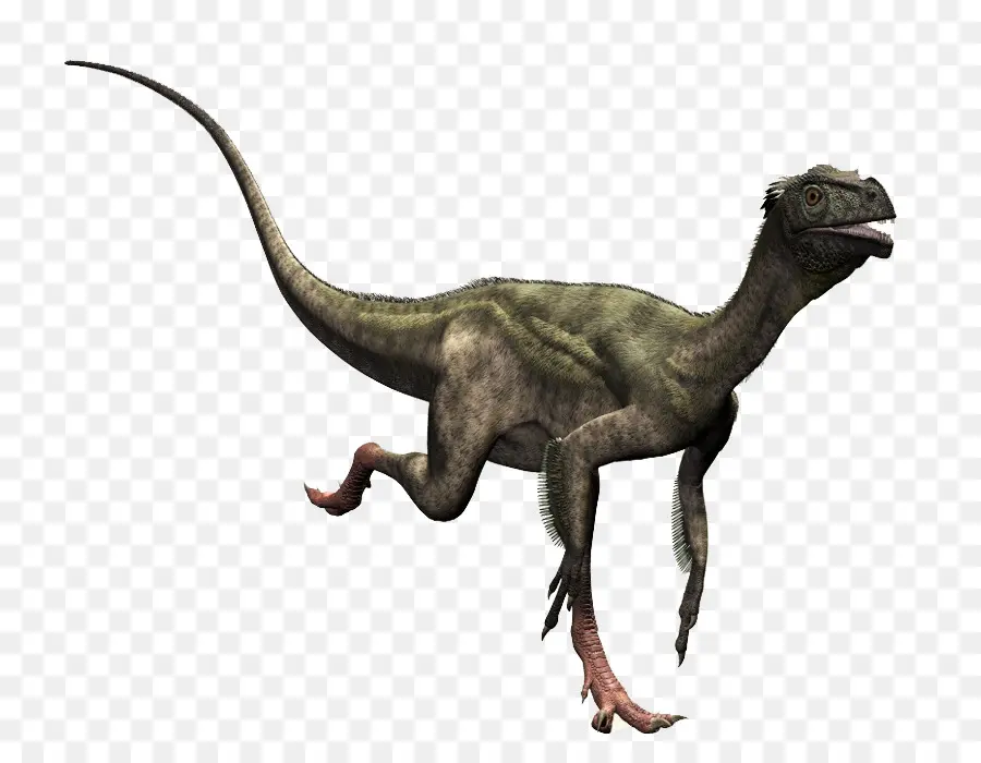 Ornitholestes，Compsognathus PNG