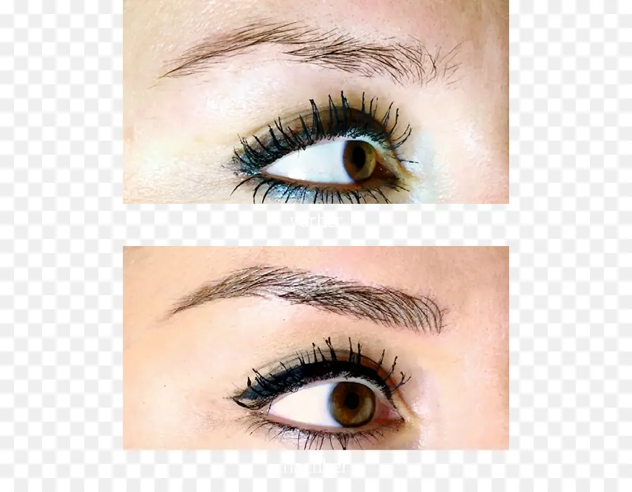 Biljana Aleksieva Microblading Colónia，Microblading PNG